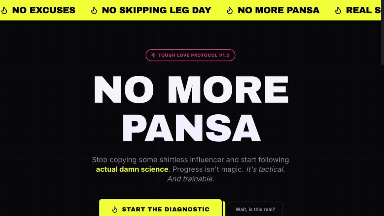 No More Pansa — homepage preview